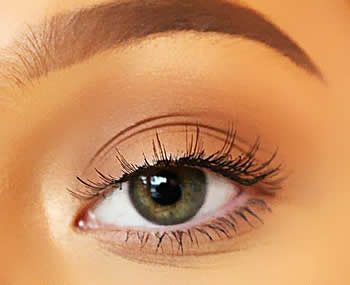 Ardell Chocolate Lash 888