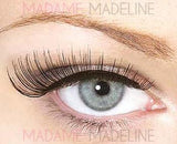 Eylure Party Perfect Gorgeous Evening Wear Lashes STARLIGHT